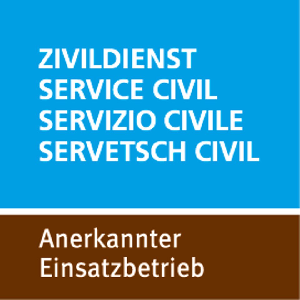 ZIVI Logo